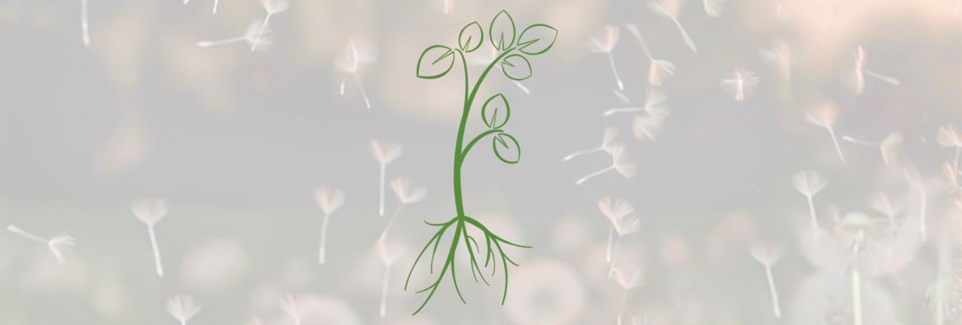 Hof Siebenblatt Header